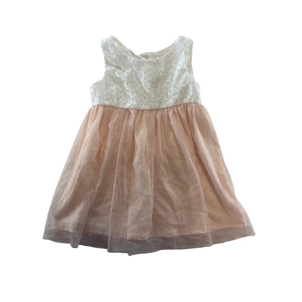 Youngland Baby Girls 24M White Lace Pink Glitter Tulle Party Dress RN16518